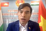 Trade Counsellor Bui Trung Thuong speaks at the forum. (Photoo: VNA)