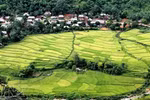 A village of Thai ethnic group in Pu Luong, Thanh Hoa province. (Photo: VNA)