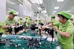 An electrical wiring harness production line at Bandai Company (Photo: VNA)