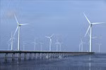 Wind turbines constructed off the coast of Ca Mau. (Photo: VNA)