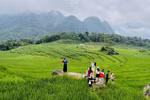 Pu Luong community tourism area in Thanh Hoa province attracts domestic and international tourists (Photo: VNA)