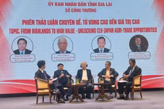 A panel discussion as part of the trade promotion conference in Pleiku city, Gia Lai province, on June 5 (Photo: VNA)