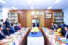 The meeting between Prime Minister Le Minh Hung and executives of Vinamilk and its Angkormilk project in Phnom Penh on October 10, 2026 (Photo: VNA)