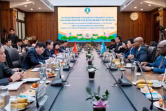 The meeting between Minister of Agriculture and Rural Development Le Minh Hoan and a high-ranking delegation of FAO (Photo courtesy of the MARD)
