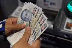 Singaporean dollar banknotes withdrawn from an ATM (Photo: AFP/VNA)
