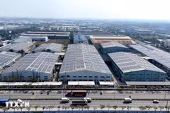 A view of the Vietnam–Singapore Industrial Park in Ho Chi Minh City (Photo: VNA)