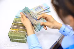 The daily reference exchange rate is set at 25,645 VND/USD on October 6. (Photo: VietnamPlus)