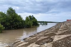 ADB warns of severe economic losses for Cambodia from climate change