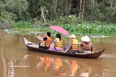 Visitors travel by boat to admire the cajuput forest landscape during the flood season at the Tram Chim tourism site in Dong Thap province. (Photo: VNA)