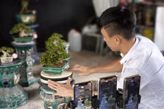 Digital transformation brings economic benefits closer to businesses 