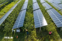 China has remained Thailand’s largest solar panel supplier over the past five years.