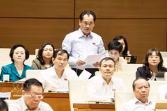 Minister of Agriculture and Environment Trinh Viet Hung speaks at the October 31 plenary discussion of the 16th National Assembly's second session. (Photo: VNA)