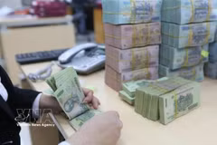 A state-owned credit institutions' asset management company has been established with a charter capital of 5 trillion VND. (Photo: VNA)