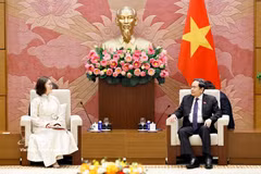 National Assembly President Tran Thanh Man (R) receives Mongolian Ambassador to Vietnam Ganbaatar Hulan in Hanoi on August 26, 2026. (Photo: VNA)