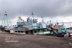 Vessels at Cat Lo Fishing Port in Phuoc Thang ward, Ho Chi Minh City (Photo: VNA)
