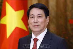 Vietnamese President Luong Cuong (Photo: VNA)