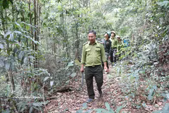 Forest rangers patrol the Tay Yen Tu Nature Reserve in Bac Ninh city. (Photo: VNA)