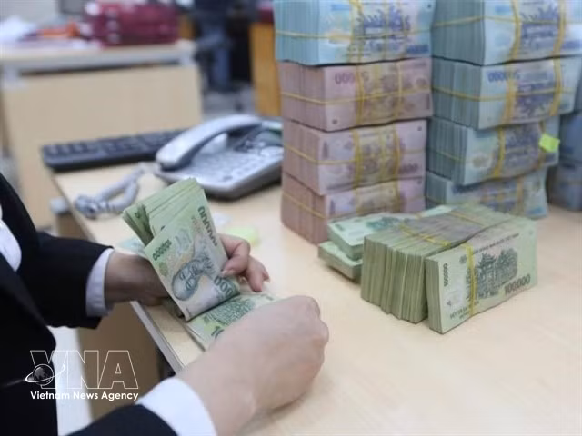 A state-owned credit institutions' asset management company has been established with a charter capital of 5 trillion VND. (Photo: VNA)