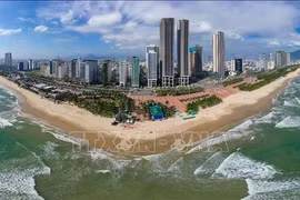 A view of central Da Nang city (Photo: VNA)