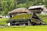 Moss-covered houses at the foot of Tay Con Linh