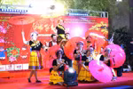 Vietnamese Tet food fair in Malaysia bridges culture, trade