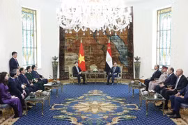 Vietnamese, Egyptian Presidents hold talks, agree to lift ties to Comprehensive Partnership