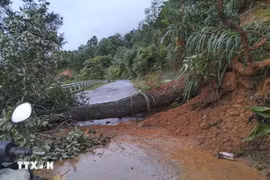 Prolonged heavy rain triggers landslides, disrupts traffic in Son La, Dien Bien