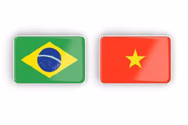 Vietnam-Brazil Strategic Partnership