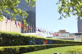 Vietnam affirms strong determination and aspirations for development