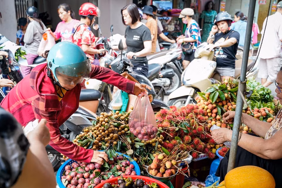 Doan Ngo Festival coincides with the peak season of many fruits, especially those with sweet or sour flavours such as plums and lychees. (Photo: VNA)