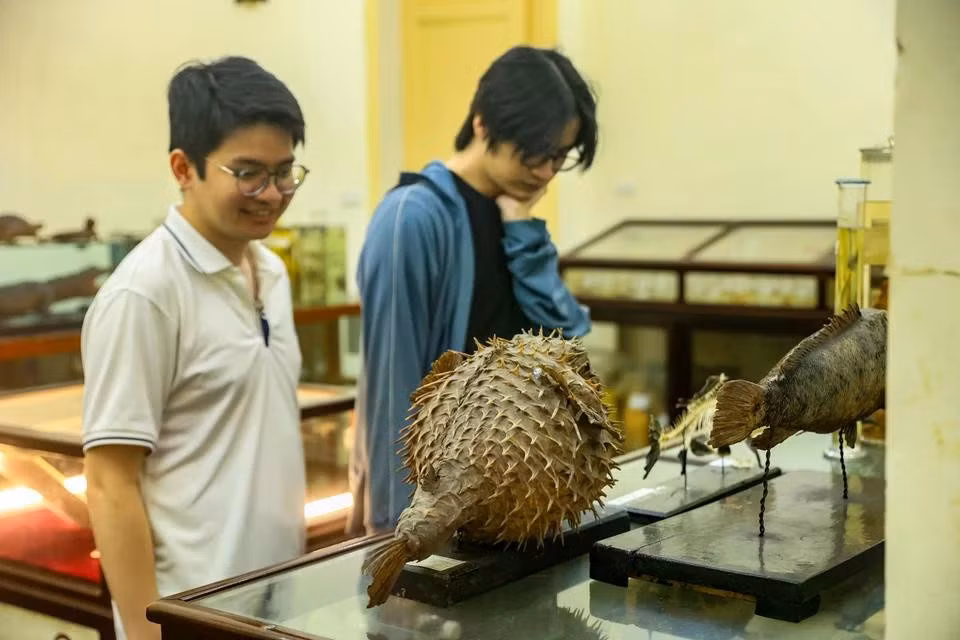 The museum opened to the public within the framework of the Hanoi Creative Design Festival 2024 in November. It is on the second floor of the University of Science under the Vietnam National University, Hanoi. (Photo: VietnamPlus)