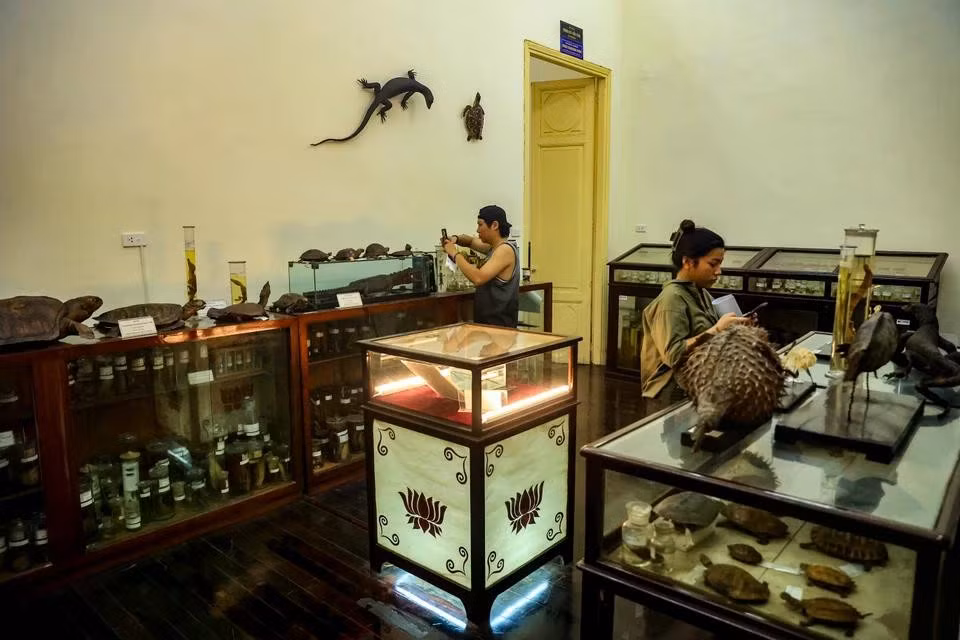 The Biology Museum is a huge attraction to local visitors as it recently opened to the public for the first time. (Photo: VietnamPlus)