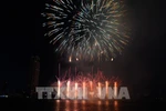 Fireworks displayed by the German team in 2024 (Photo: VNA)