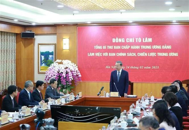 to-lam-4084.jpg