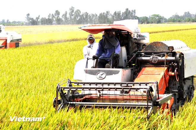 Vietnam Orange Index 2024 is 50 points, ranking among the leading countries in ASEAN and surpassing the global average of 41 points. (Photo: VietnamPlus) impact investment 3.jpg