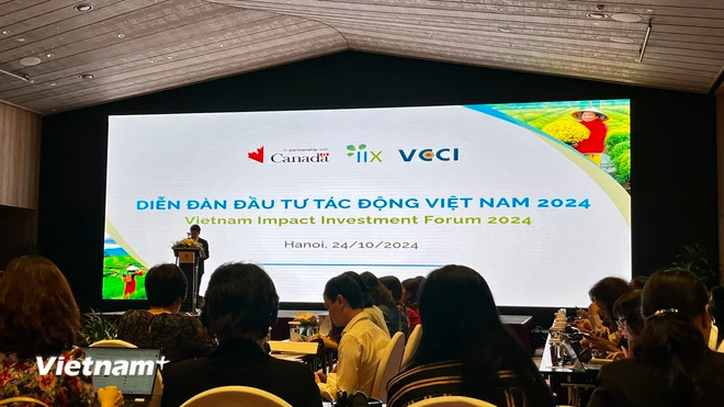 The Vietnam Impact Investment Forum 2024 brings together more than 100 representatives who are leaders, experts, investors, and businessmen to discuss to create a more prosperous and equitable future for Vietnam. (Photo: VietnamPlus) impact investment 2.jpg