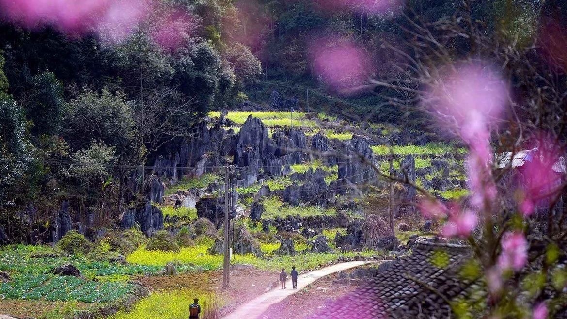 Dong Van Karst Plateau – World’s Leading Regional Cultural Destination