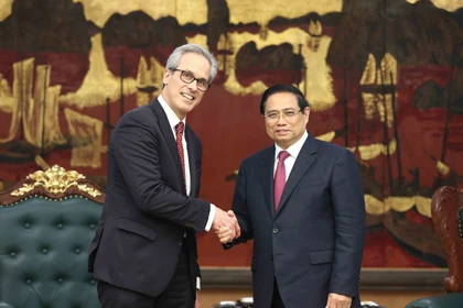Vietnam maintains constructive cooperation with EU in combating IUU fishing: PM