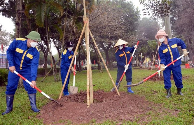 Nam Dinh steps up tree planting in protection, special-use forests