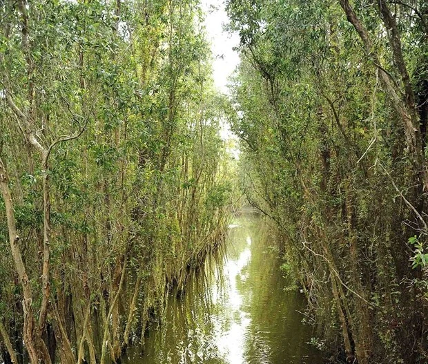 Tan Lap floating village – attractive destination in Long An