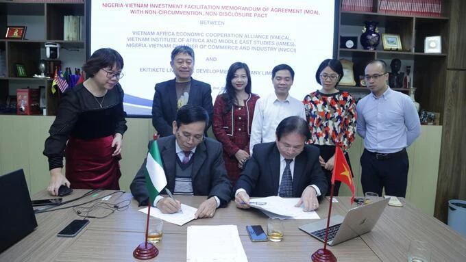 Vietnamese agencies cooperate in cattle breeding with Nigerian partners 