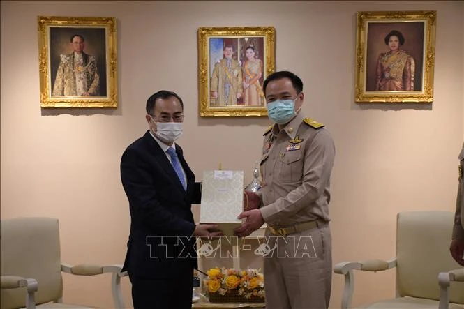 Vietnam, Thailand enhance collaboration in health amidst COVID-19
