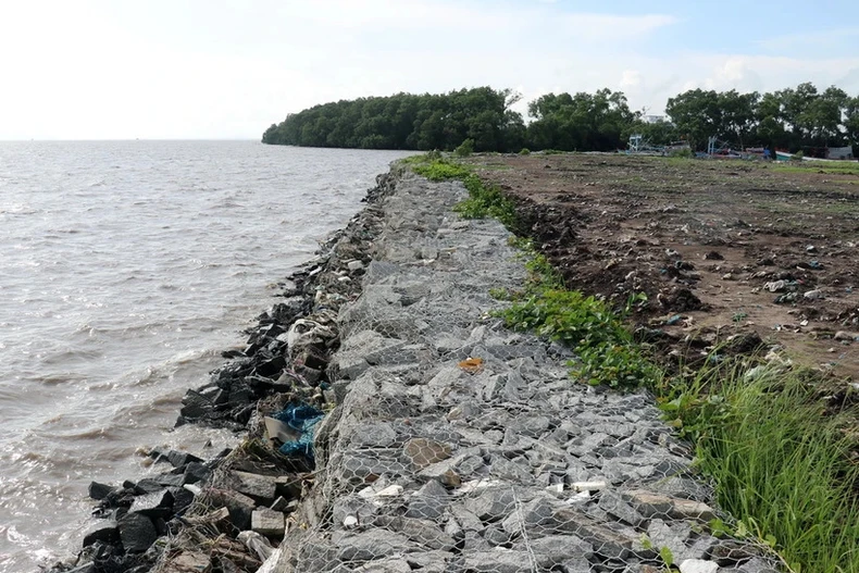 Tra Vinh declares coastal landslide emergency