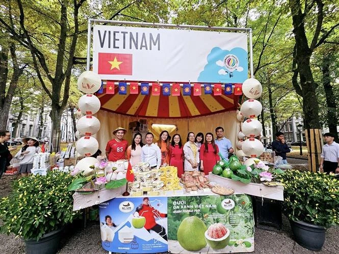 Vietnamese cuisine introduced at Embassy Festival in Netherlands