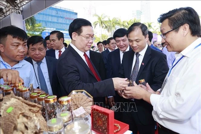 Ha Tinh asked to turn potential, advantages into growth motivation