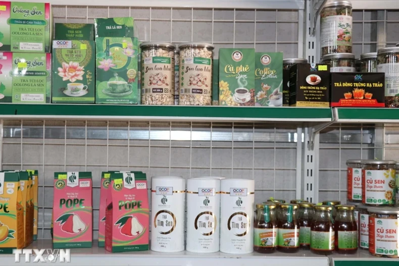 Lotus-related products are sold at a store of Ecolotus Vietnam. (Photo: VNA)