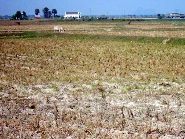 Vulnerable nations launch ‘V20′ to fight climate change