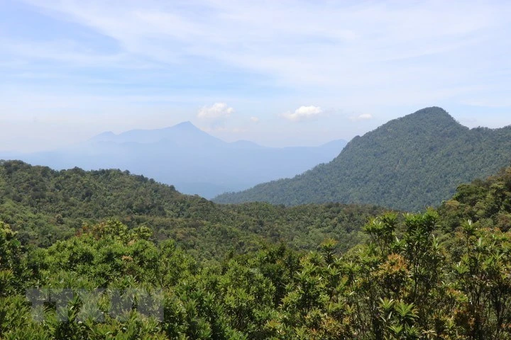 The magnificent, pristine beauty of Bach Ma National Park (Photo: VNA) 