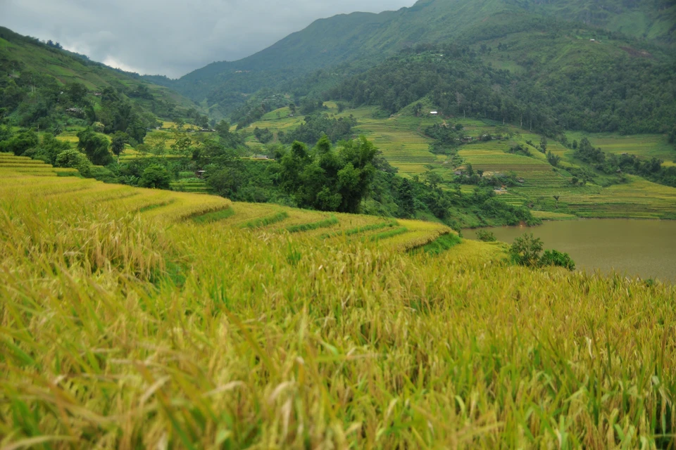 Y Ty is believed to be most beautiful in the rice harvest season, between September and October (Photo: VNA)