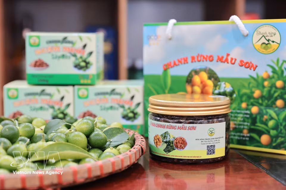 Mau Son Eco-farm Cooperative’s “Mau Son Preserved Wild Lemon” product achieves 3-star OCOP certification. (Photo: VNA)